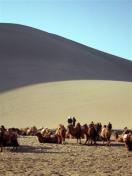 Crescent Moon Lake - Dunhuang, Gansu Province
