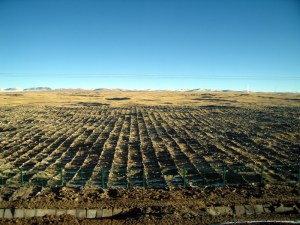 Millions of stones piled up to create 'shade' and stop the permafrost from melting along the route of the Beijing to Lhasa Railway